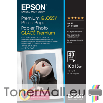 Фотохартия EPSON C13S042153 Premium Glossy Photo Paper, 100 x 150 mm, 255g/m², 40 Sheets