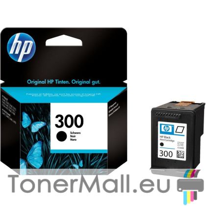 Мастилена касета HP 300 (CC640EE) Black